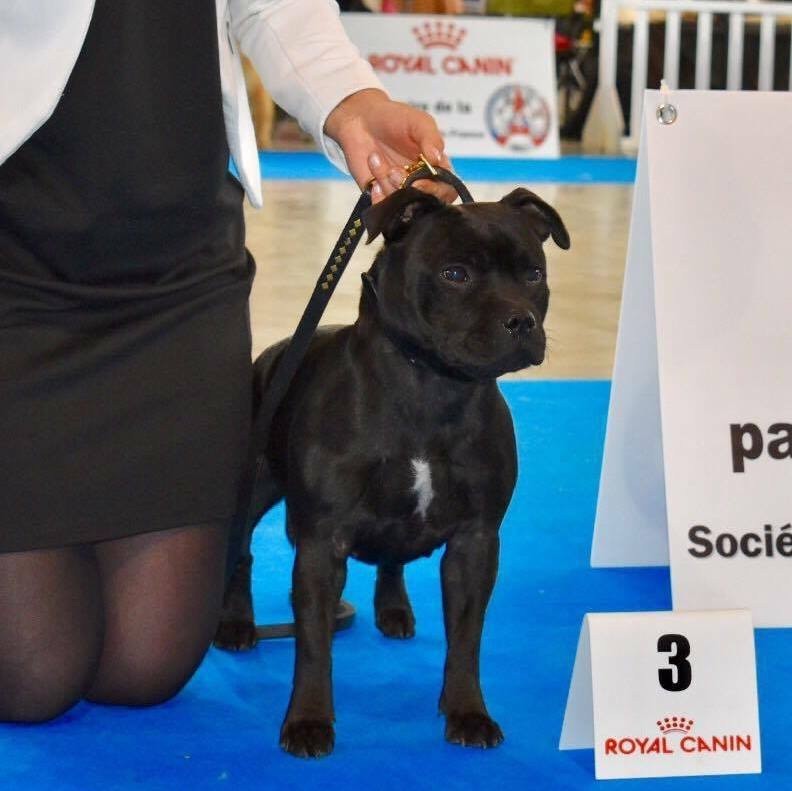 La vie en rose (Sans Affixe)