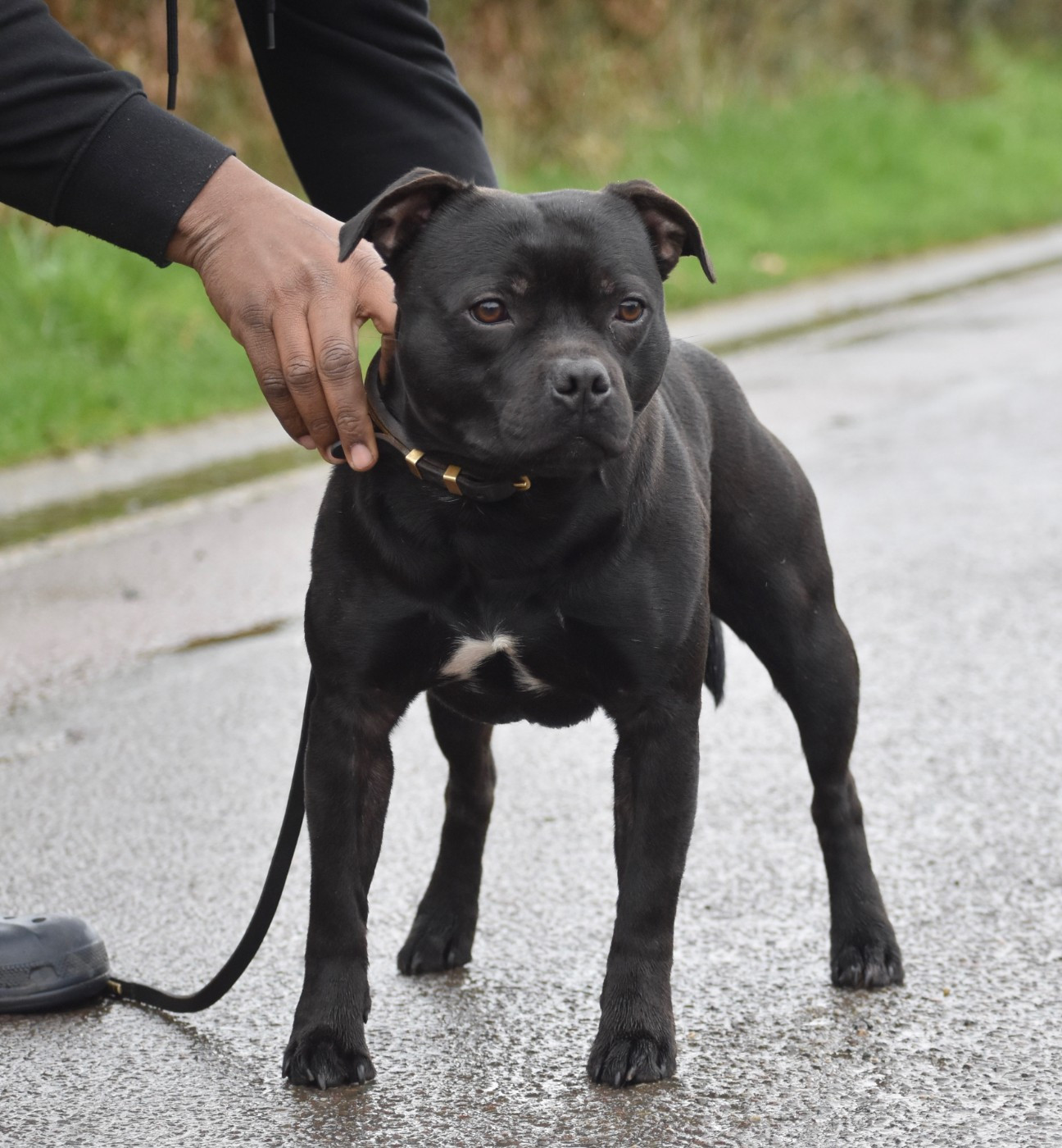 Skillstaff U'better recognize