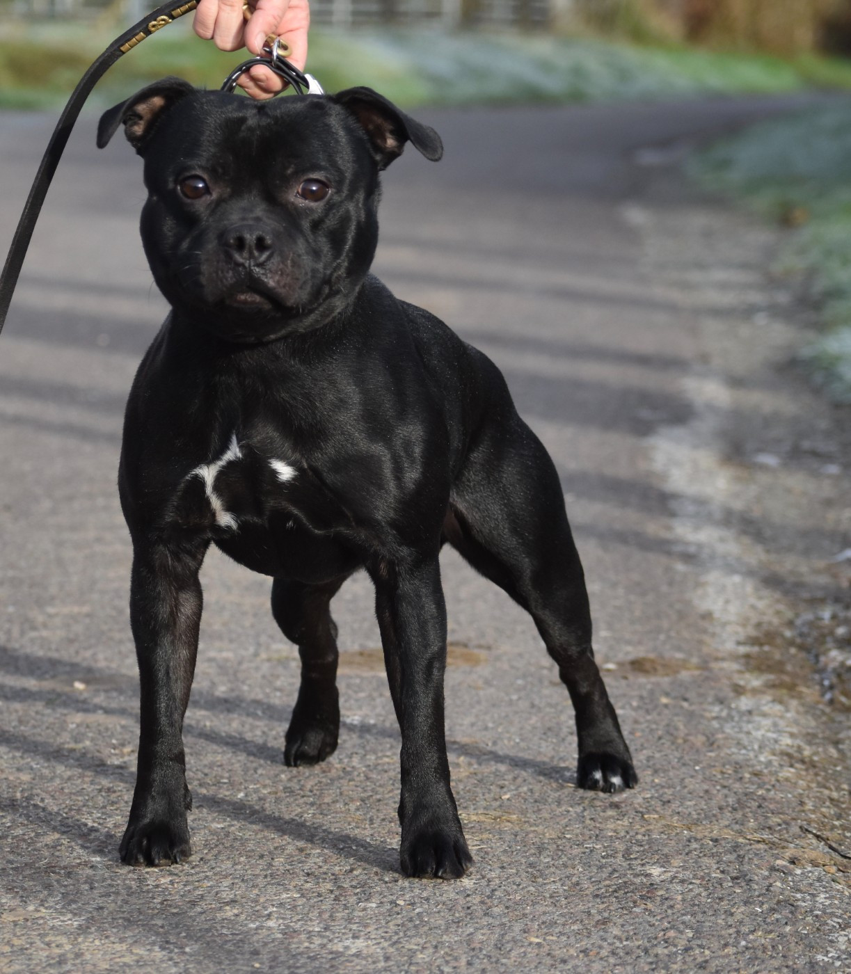 Skillstaff TEMPS MORT