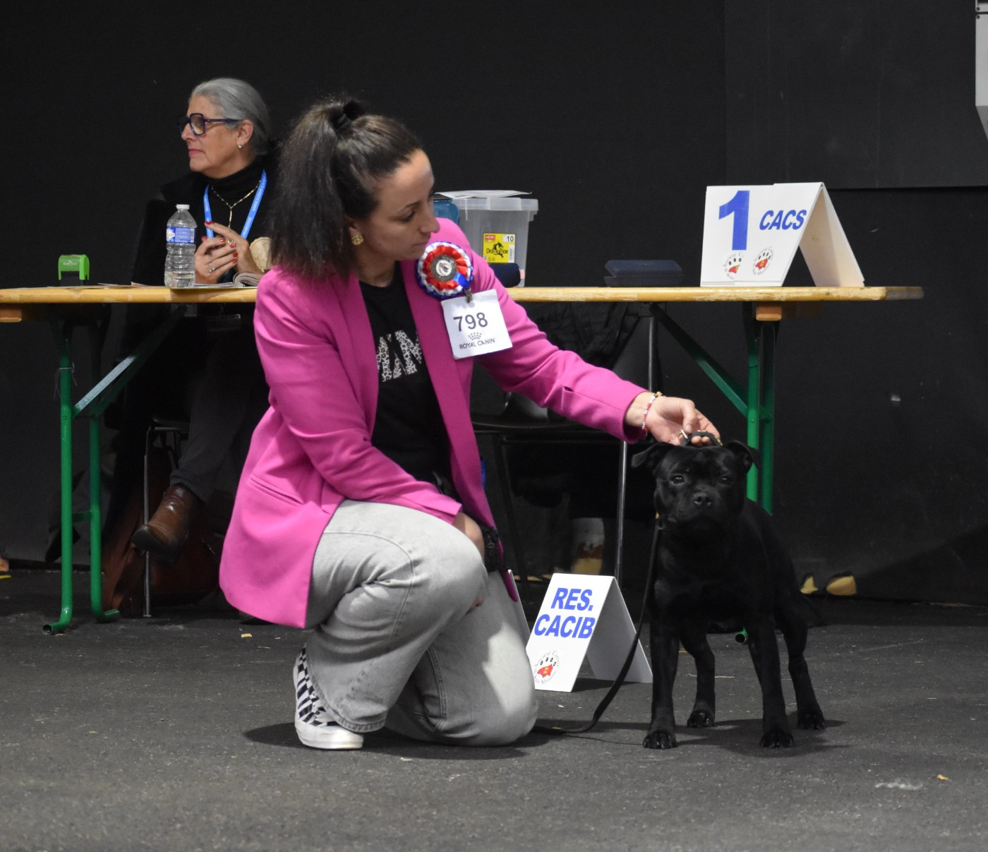 Skillstaff AEROSMITH